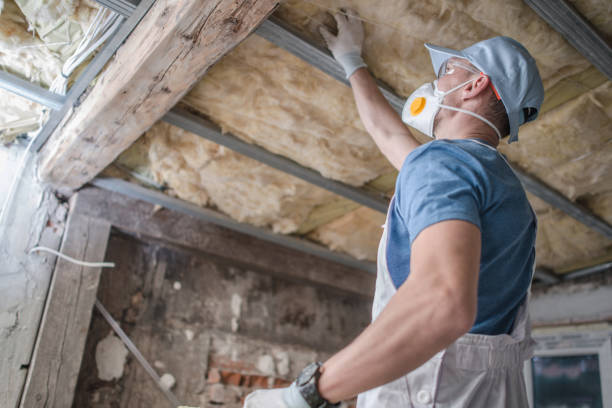 Best Spray Foam Insulation  in South El Monte, CA