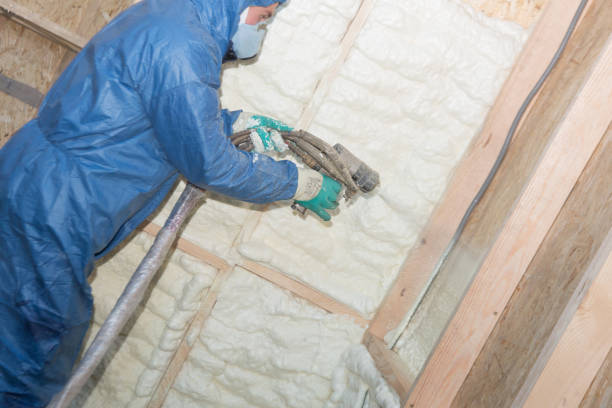 Best Eco-Friendly or Green Insulation Solutions  in South El Monte, CA